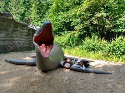 Foto des Albums: Schulausflug in den Saurierpark Kleinwelka