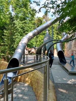 Foto des Albums: Schulausflug in den Saurierpark Kleinwelka