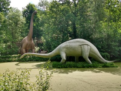 Foto des Albums: Schulausflug in den Saurierpark Kleinwelka