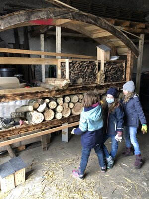 Foto des Albums: Erdmännchen auf dem Saffiger Bauhof