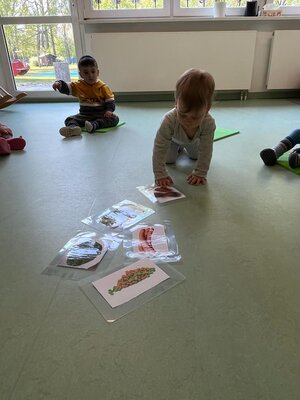 Foto des Albums: Wunschessen