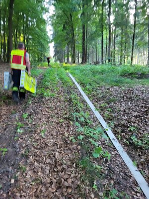 Foto des Albums: Waldbrand Amelith