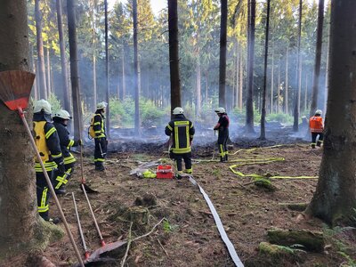 Foto des Albums: Waldbrand Amelith