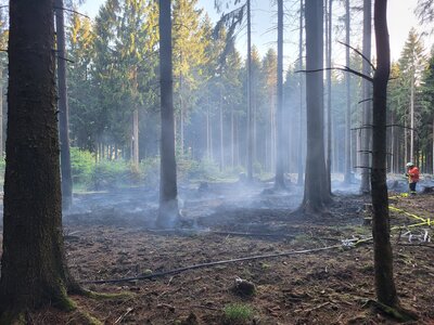 Foto des Albums: Waldbrand Amelith