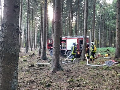 Foto des Albums: Waldbrand Amelith