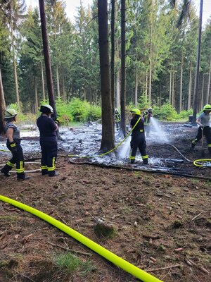 Foto des Albums: Waldbrand Amelith
