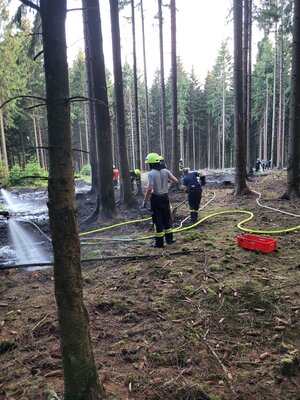 Foto des Albums: Waldbrand Amelith