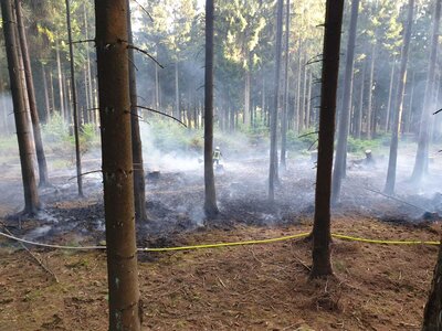 Foto des Albums: Waldbrand Amelith