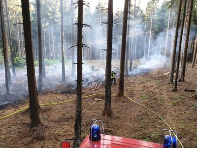 Foto des Albums: Waldbrand Amelith
