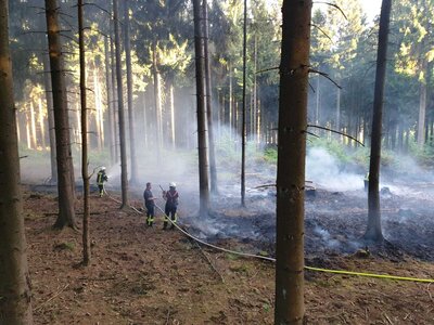 Foto des Albums: Waldbrand Amelith