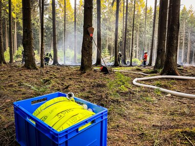 Foto des Albums: Waldbrand Amelith