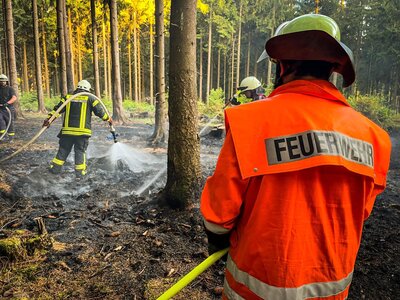 Foto des Albums: Waldbrand Amelith