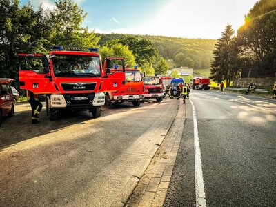 Foto des Albums: Waldbrand Amelith