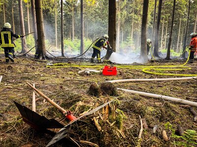 Foto des Albums: Waldbrand Amelith