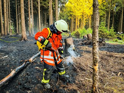 Foto des Albums: Waldbrand Amelith