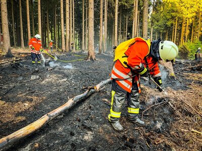 Foto des Albums: Waldbrand Amelith