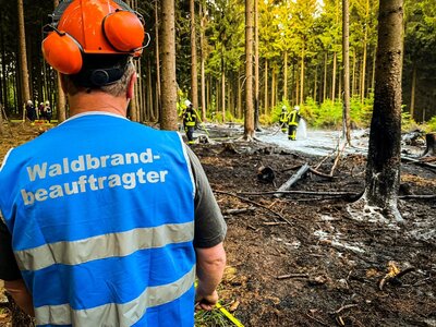 Foto des Albums: Waldbrand Amelith