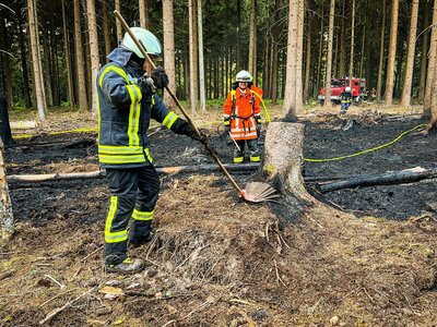 Foto des Albums: Waldbrand Amelith