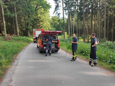 Foto des Albums: Waldbrand Amelith