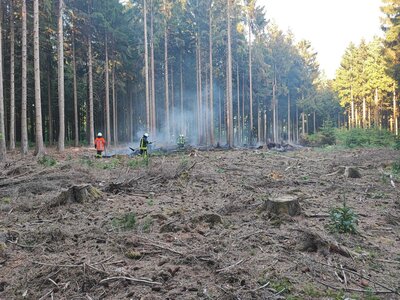Foto des Albums: Waldbrand Amelith