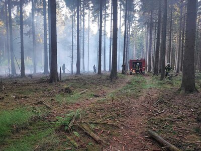 Foto des Albums: Waldbrand Amelith