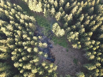 Foto des Albums: Waldbrand Amelith