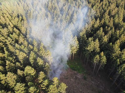 Foto des Albums: Waldbrand Amelith