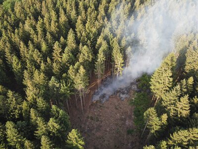 Foto des Albums: Waldbrand Amelith