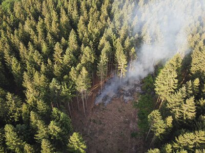 Foto des Albums: Waldbrand Amelith