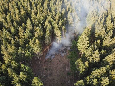 Foto des Albums: Waldbrand Amelith