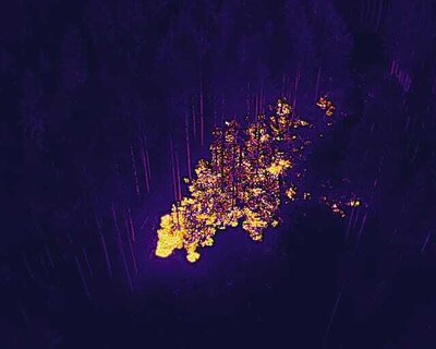 Foto des Albums: Waldbrand Amelith