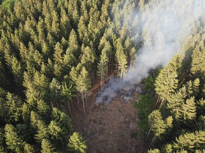 Foto des Albums: Waldbrand Amelith