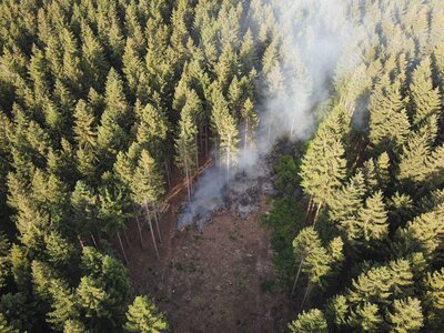Foto des Albums: Waldbrand Amelith