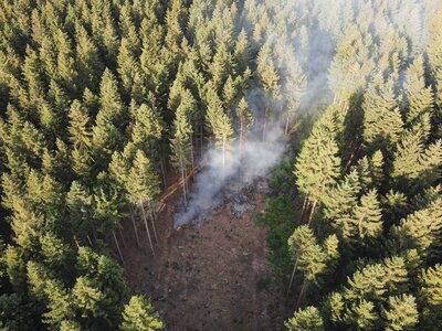 Foto des Albums: Waldbrand Amelith