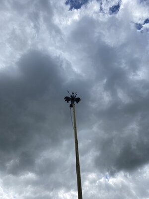 Foto des Albums: Keulenwerfen 2022