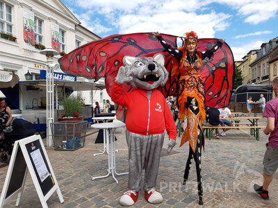 Foto des Albums: Pritzwalker Festtage, wie sie sein sollen