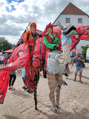 Foto des Albums: Pritzwalker Festtage, wie sie sein sollen