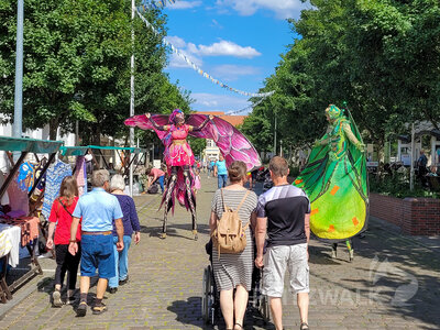 Foto des Albums: Pritzwalker Festtage, wie sie sein sollen