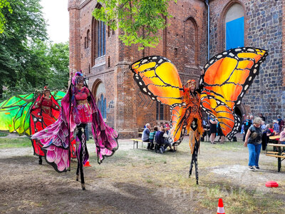 Foto des Albums: Pritzwalker Festtage, wie sie sein sollen