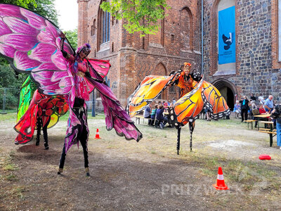 Foto des Albums: Pritzwalker Festtage, wie sie sein sollen