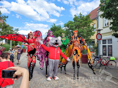 Foto des Albums: Pritzwalker Festtage, wie sie sein sollen