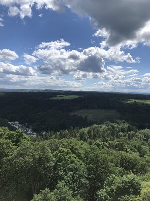 Foto des Albums: Vereinsfahrt 2022