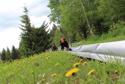 Foto des Albums: Vereinsfahrt 2022