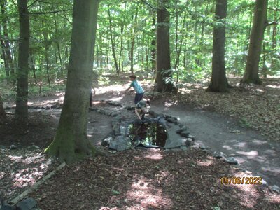 Foto des Albums: Zur Abschlussfahrt ging´s ins Otterzentrum (16. 06. 2022)