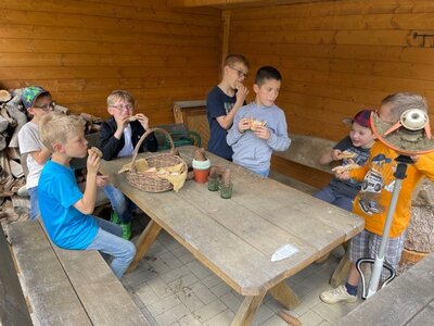 Foto des Albums: Schulgarten 2021/2022