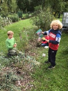 Foto des Albums: Schulgarten 2021/2022
