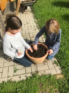Foto des Albums: Schulgarten 2021/2022