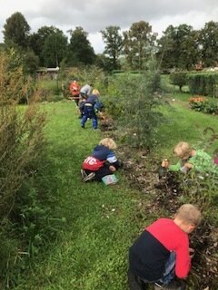 Foto des Albums: Schulgarten 2021/2022