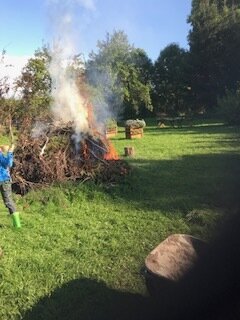 Foto des Albums: Schulgarten 2021/2022