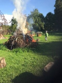 Foto des Albums: Schulgarten 2021/2022